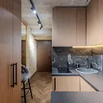 Basanaviciaus Apartment *