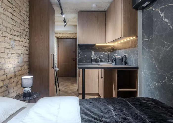 Basanaviciaus Appartement