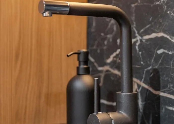 Basanaviciaus 公寓 维尔纽斯