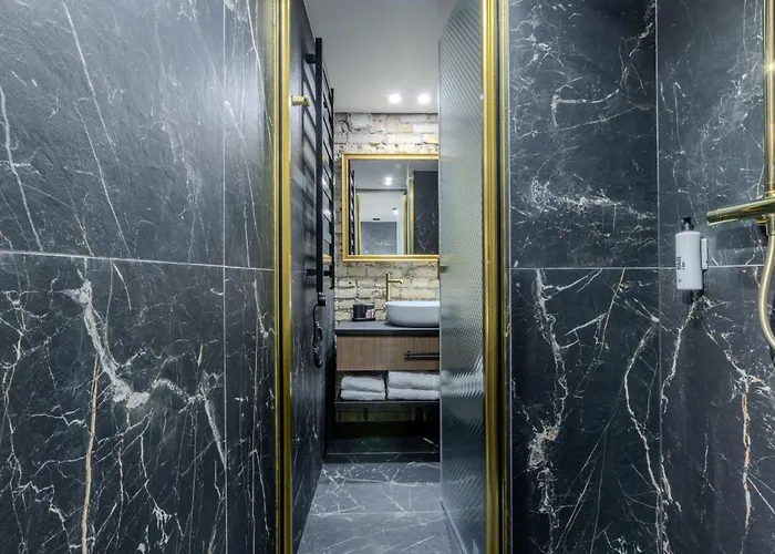 Appartement Basanaviciaus Vilnius