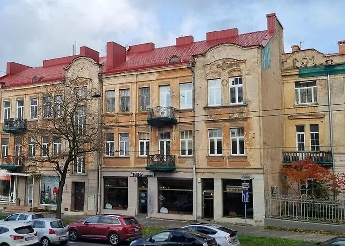 Basanaviciaus Appartement *