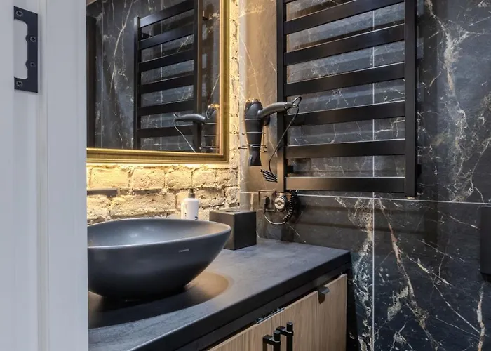 Basanaviciaus 公寓 *