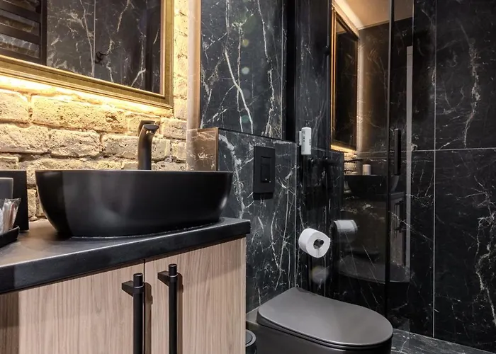 Appartement Basanaviciaus *