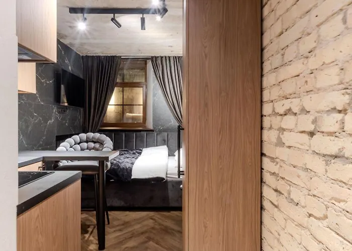 Appartement Basanaviciaus *