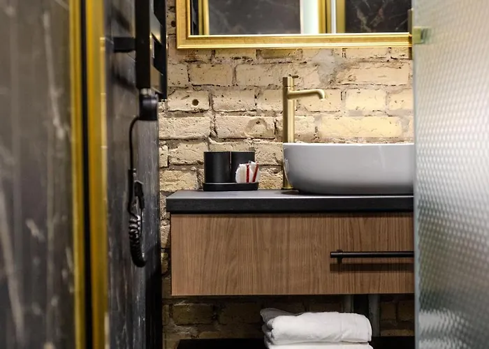 Basanaviciaus 公寓 *