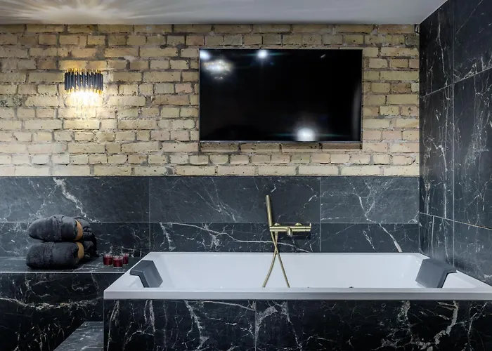 Basanaviciaus Appartement *