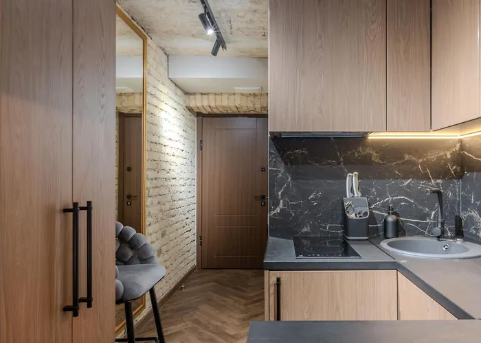 Appartement Basanaviciaus *