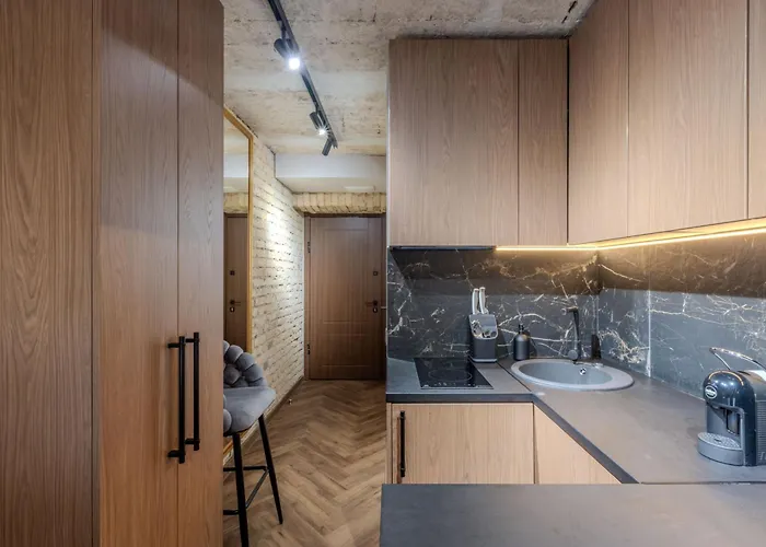 Basanaviciaus Appartement *