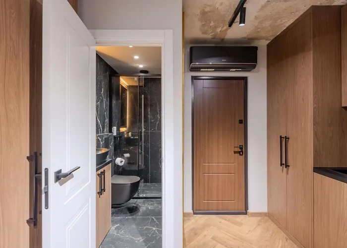 Basanaviciaus Appartement *