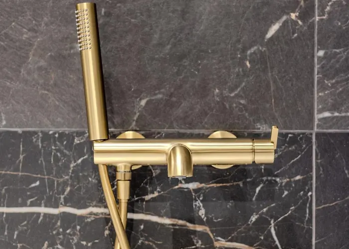 Basanaviciaus Διαμέρισμα *